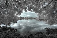 ALL IMAGES COPYRIGHTED; NO IMAGES ARE WITHIN THE PUBLIC DOMAIN AND CANNOT BE COPIED OR REPRODUCED WITHOUT PERMISSION