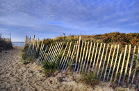 ALL IMAGES COPYRIGHTED; NO IMAGES ARE WITHIN THE PUBLIC DOMAIN AND CANNOT BE COPIED OR REPRODUCED WITHOUT PERMISSION