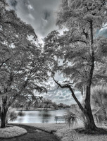 ALL IMAGES COPYRIGHTED; NO IMAGES ARE WITHIN THE PUBLIC DOMAIN AND CANNOT BE COPIED OR REPRODUCED WITHOUT PERMISSION
