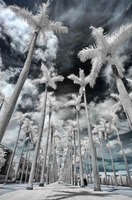 ALL IMAGES COPYRIGHTED; NO IMAGES ARE WITHIN THE PUBLIC DOMAIN AND CANNOT BE COPIED OR REPRODUCED WITHOUT PERMISSION