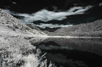 ALL IMAGES COPYRIGHTED; NO IMAGES ARE WITHIN THE PUBLIC DOMAIN AND CANNOT BE COPIED OR REPRODUCED WITHOUT PERMISSION