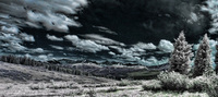 ALL IMAGES COPYRIGHTED; NO IMAGES ARE WITHIN THE PUBLIC DOMAIN AND CANNOT BE COPIED OR REPRODUCED WITHOUT PERMISSION