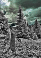 ALL IMAGES COPYRIGHTED; NO IMAGES ARE WITHIN THE PUBLIC DOMAIN AND CANNOT BE COPIED OR REPRODUCED WITHOUT PERMISSION