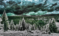 ALL IMAGES COPYRIGHTED; NO IMAGES ARE WITHIN THE PUBLIC DOMAIN AND CANNOT BE COPIED OR REPRODUCED WITHOUT PERMISSION