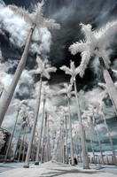 ALL IMAGES COPYRIGHTED; NO IMAGES ARE WITHIN THE PUBLIC DOMAIN AND CANNOT BE COPIED OR REPRODUCED WITHOUT PERMISSION