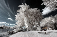 ALL IMAGES COPYRIGHTED; NO IMAGES ARE WITHIN THE PUBLIC DOMAIN AND CANNOT BE COPIED OR REPRODUCED WITHOUT PERMISSION