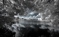 ALL IMAGES COPYRIGHTED; NO IMAGES ARE WITHIN THE PUBLIC DOMAIN AND CANNOT BE COPIED OR REPRODUCED WITHOUT PERMISSION