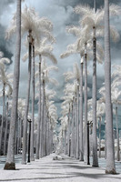 ALL IMAGES COPYRIGHTED; NO IMAGES ARE WITHIN THE PUBLIC DOMAIN AND CANNOT BE COPIED OR REPRODUCED WITHOUT PERMISSION