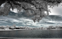 ALL IMAGES COPYRIGHTED; NO IMAGES ARE WITHIN THE PUBLIC DOMAIN AND CANNOT BE COPIED OR REPRODUCED WITHOUT PERMISSION