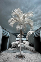 ALL IMAGES COPYRIGHTED; NO IMAGES ARE WITHIN THE PUBLIC DOMAIN AND CANNOT BE COPIED OR REPRODUCED WITHOUT PERMISSION