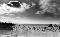 ALL IMAGES COPYRIGHTED; NO IMAGES ARE WITHIN THE PUBLIC DOMAIN AND CANNOT BE COPIED OR REPRODUCED WITHOUT PERMISSION
