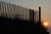 ALL IMAGES COPYRIGHTED; NO IMAGES ARE WITHIN THE PUBLIC DOMAIN AND CANNOT BE COPIED OR REPRODUCED WITHOUT PERMISSION