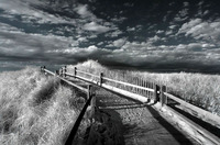 © ALL IMAGES COPYRIGHTED; NO IMAGES ARE WITHIN THE PUBLIC DOMAIN AND CANNOT BE COPIED OR REPRODUCED WITHOUT PERMISSION