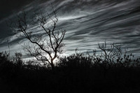 © ALL IMAGES COPYRIGHTED; NO IMAGES ARE WITHIN THE PUBLIC DOMAIN AND CANNOT BE COPIED OR REPRODUCED WITHOUT PERMISSION