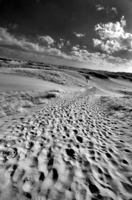 © ALL IMAGES COPYRIGHTED; NO IMAGES ARE WITHIN THE PUBLIC DOMAIN AND CANNOT BE COPIED OR REPRODUCED WITHOUT PERMISSION