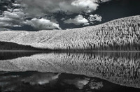 © ALL IMAGES COPYRIGHTED; NO IMAGES ARE WITHIN THE PUBLIC DOMAIN AND CANNOT BE COPIED OR REPRODUCED WITHOUT PERMISSION