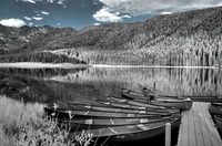 © ALL IMAGES COPYRIGHTED; NO IMAGES ARE WITHIN THE PUBLIC DOMAIN AND CANNOT BE COPIED OR REPRODUCED WITHOUT PERMISSION