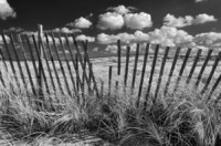 © ALL IMAGES COPYRIGHTED; NO IMAGES ARE WITHIN THE PUBLIC DOMAIN AND CANNOT BE COPIED OR REPRODUCED WITHOUT PERMISSION