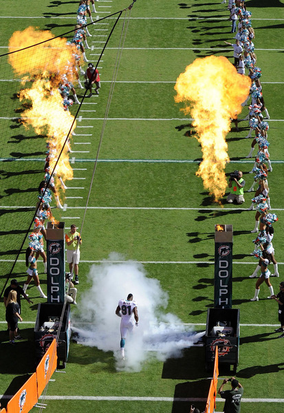 Miami Dolphins cornerback Nolan Carroll (28) is introduced before the first half of an NFL football game against the Seattle Seahawks, Sunday, Nov. 25, 2012 in Miami.