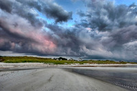 Scenics