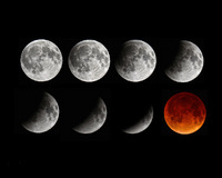 © ALL IMAGES COPYRIGHTED; NO IMAGES ARE WITHIN THE PUBLIC DOMAIN AND CANNOT BE COPIED OR REPRODUCED WITHOUT PERMISSION