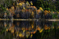 © ALL IMAGES COPYRIGHTED; NO IMAGES ARE WITHIN THE PUBLIC DOMAIN AND CANNOT BE COPIED OR REPRODUCED WITHOUT PERMISSION