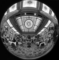 © ALL IMAGES COPYRIGHTED; NO IMAGES ARE WITHIN THE PUBLIC DOMAIN AND CANNOT BE COPIED OR REPRODUCED WITHOUT PERMISSION