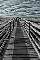 © ALL IMAGES COPYRIGHTED; NO IMAGES ARE WITHIN THE PUBLIC DOMAIN AND CANNOT BE COPIED OR REPRODUCED WITHOUT PERMISSION