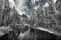 © ALL IMAGES COPYRIGHTED; NO IMAGES ARE WITHIN THE PUBLIC DOMAIN AND CANNOT BE COPIED OR REPRODUCED WITHOUT PERMISSION