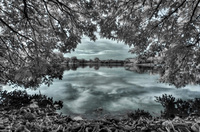 © ALL IMAGES COPYRIGHTED; NO IMAGES ARE WITHIN THE PUBLIC DOMAIN AND CANNOT BE COPIED OR REPRODUCED WITHOUT PERMISSION