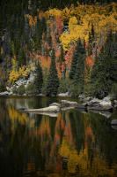 © ALL IMAGES COPYRIGHTED; NO IMAGES ARE WITHIN THE PUBLIC DOMAIN AND CANNOT BE COPIED OR REPRODUCED WITHOUT PERMISSION