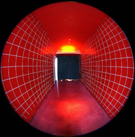 © ALL IMAGES COPYRIGHTED; NO IMAGES ARE WITHIN THE PUBLIC DOMAIN AND CANNOT BE COPIED OR REPRODUCED WITHOUT PERMISSION