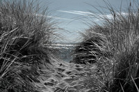 © ALL IMAGES COPYRIGHTED; NO IMAGES ARE WITHIN THE PUBLIC DOMAIN AND CANNOT BE COPIED OR REPRODUCED WITHOUT PERMISSION