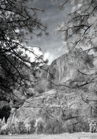 © ALL IMAGES COPYRIGHTED; NO IMAGES ARE WITHIN THE PUBLIC DOMAIN AND CANNOT BE COPIED OR REPRODUCED WITHOUT PERMISSION